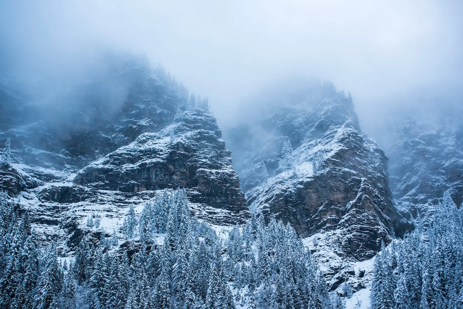 Winter landscape, Avoriaz Ski Area, Port du Soleil, Auvergne Rhone Alpes, Alps, France, Europe