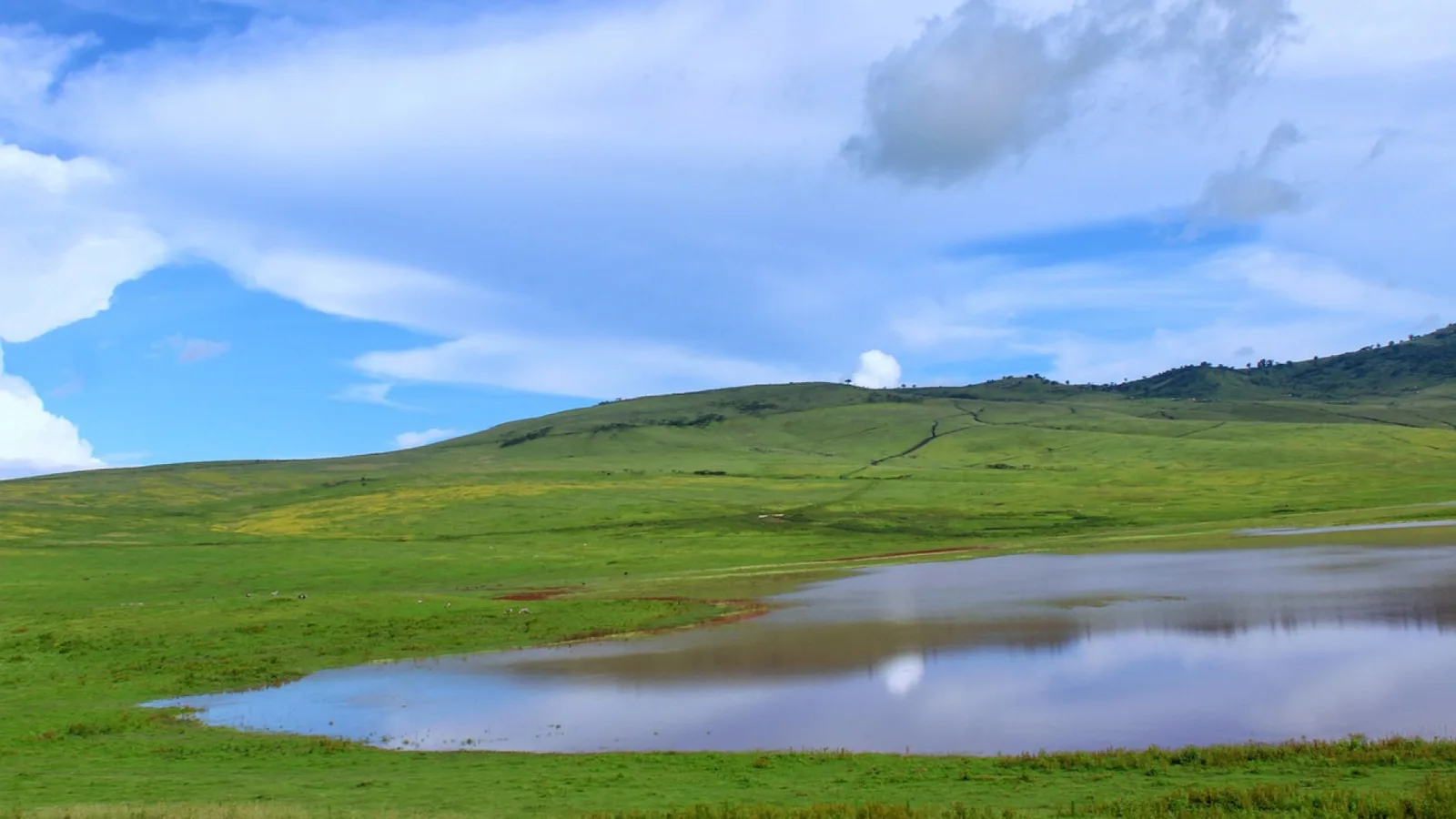 Organiser un safari inoubliable dans le ngorongoro