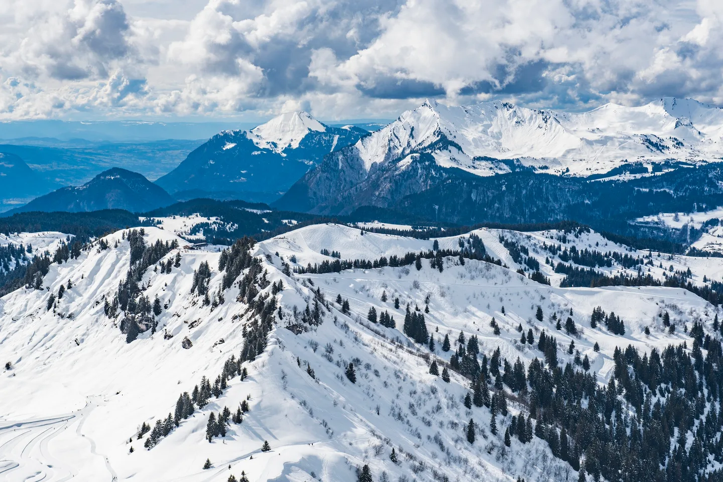 Crêtes enneigées et sapins au-dessus de Morzine-Avoriaz, dans les Portes du Soleil